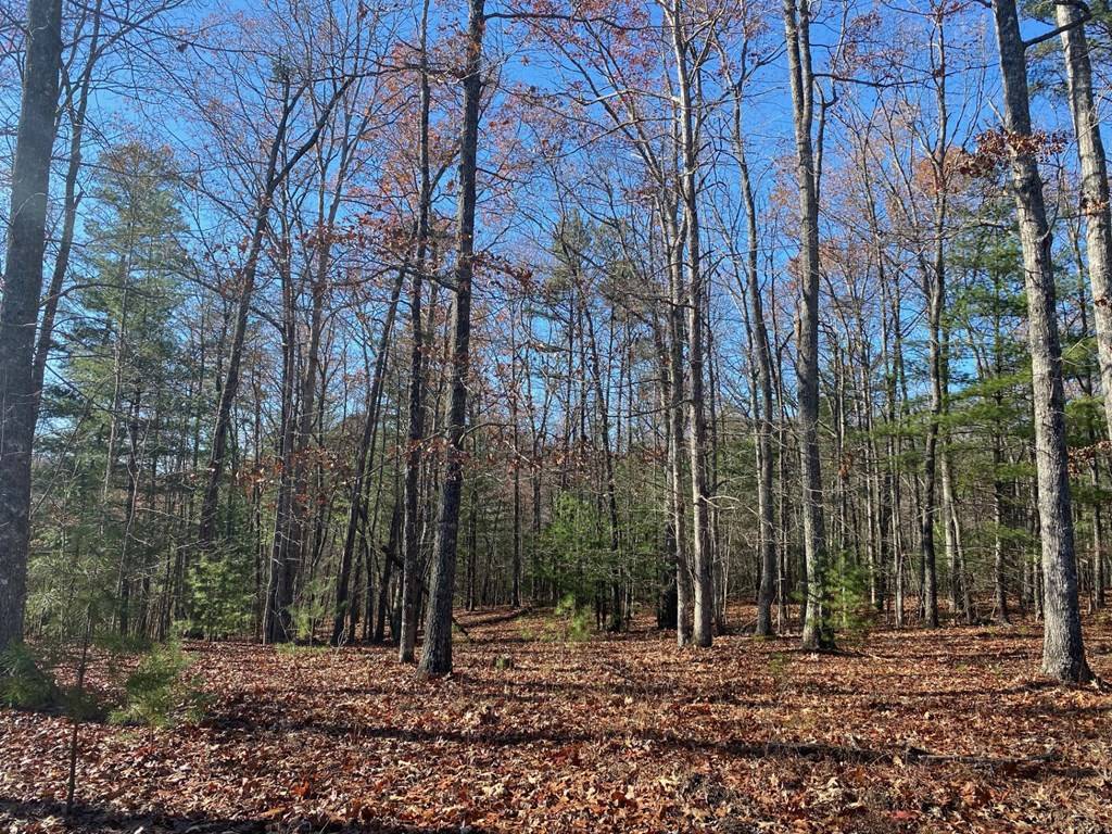 Murphy, NC 28906,539 Sierra Circle