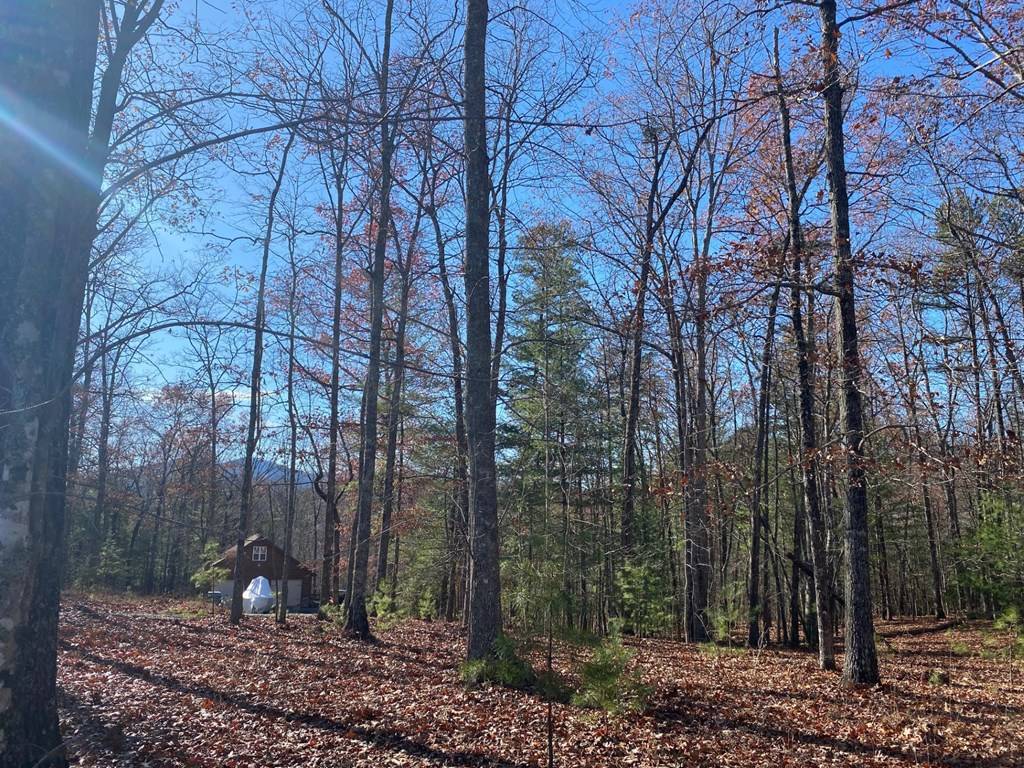 Murphy, NC 28906,539 Sierra Circle