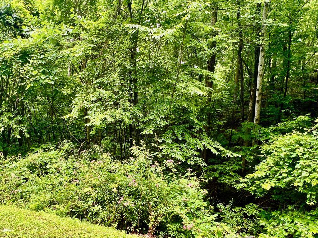 Hiawassee, GA 30548,8 Black Bear Trail