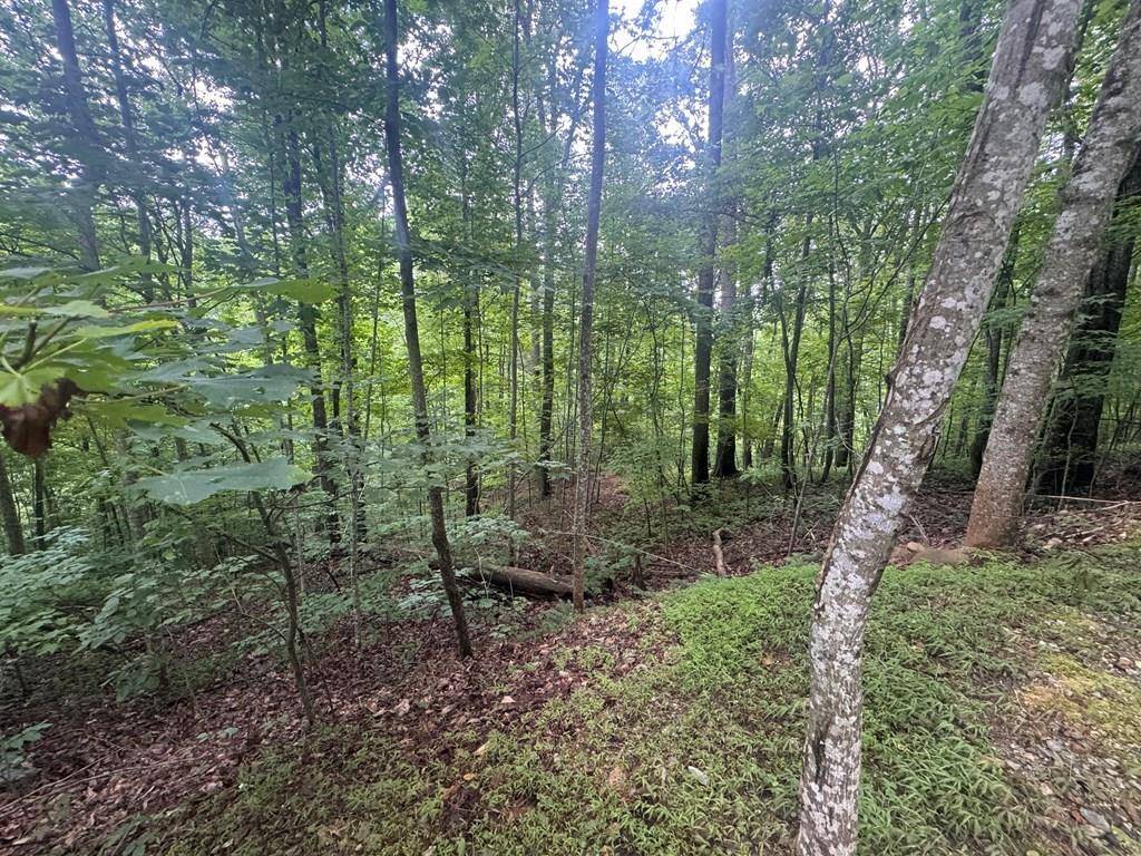 Blairsville, IA 50512,Lot 31 Highland Forge Lane