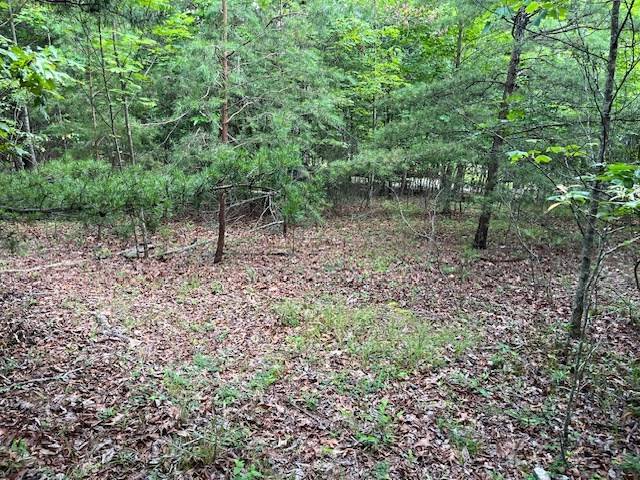 Young Harris, GA 30582,Lot 13 Gladys Lane