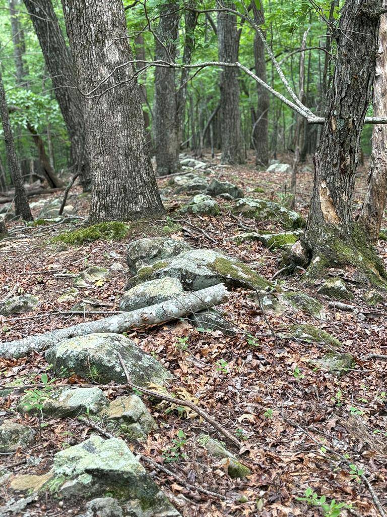 Morganton, GA 30513,00 Walker Drive