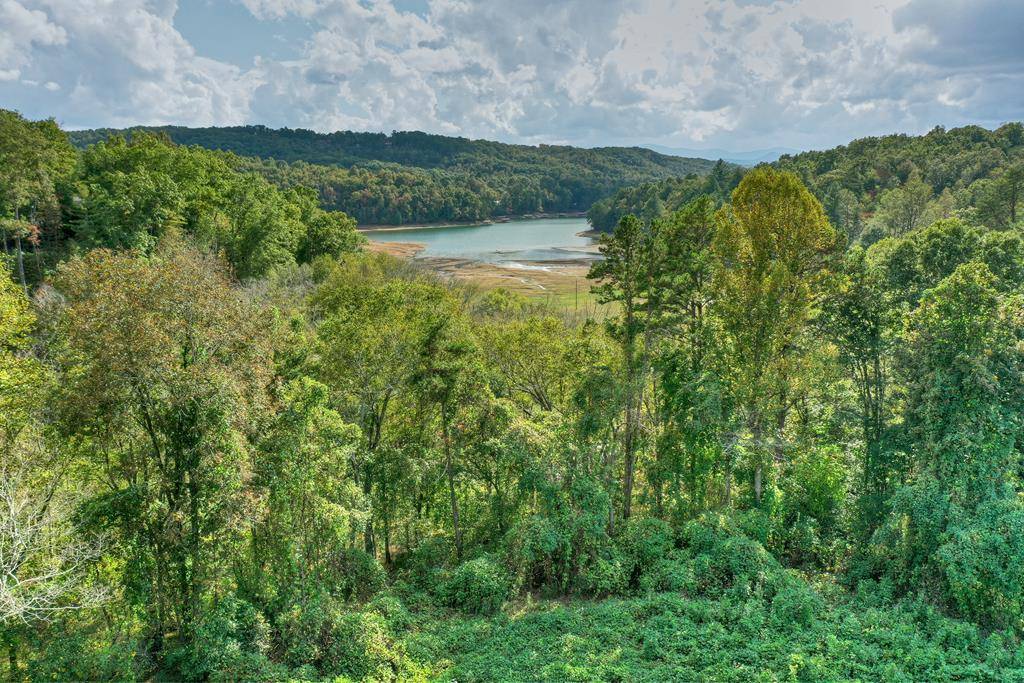Morganton, GA 30560,8.04 AC Collins Road