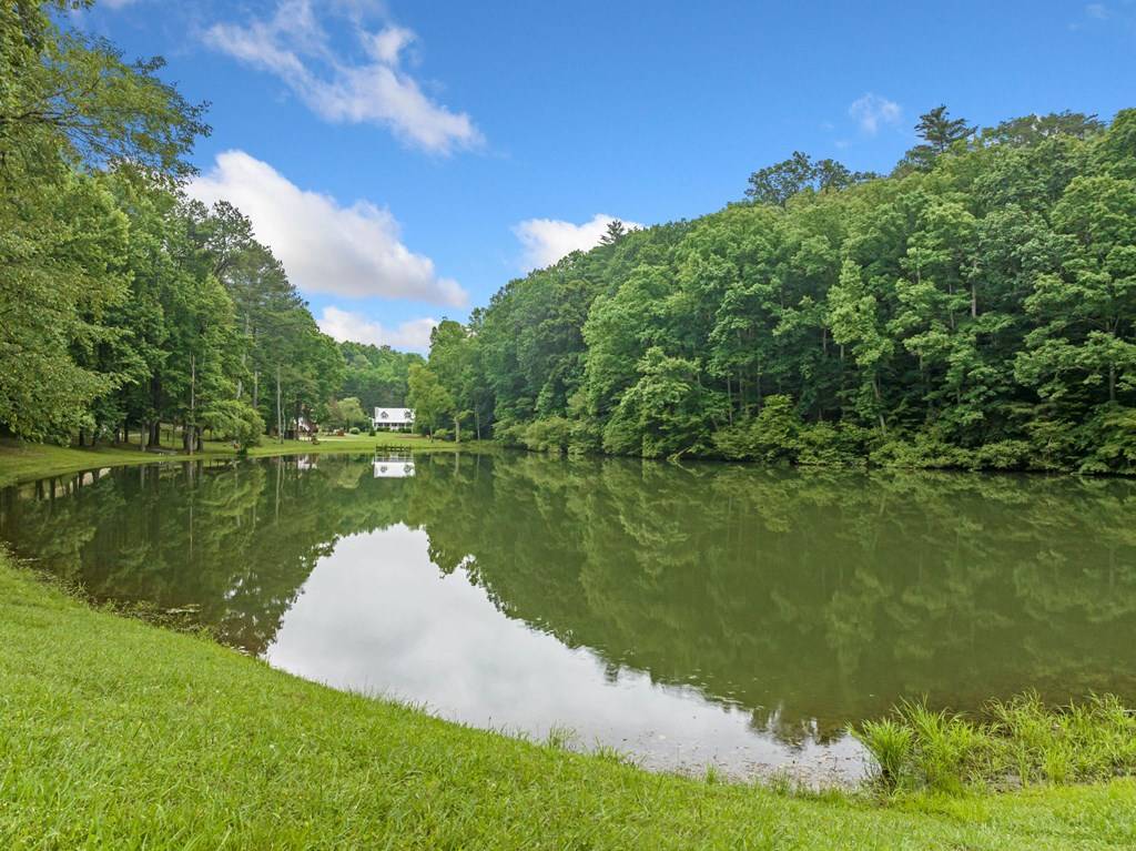 Ellijay, GA 30540,65 Dogwood Lane