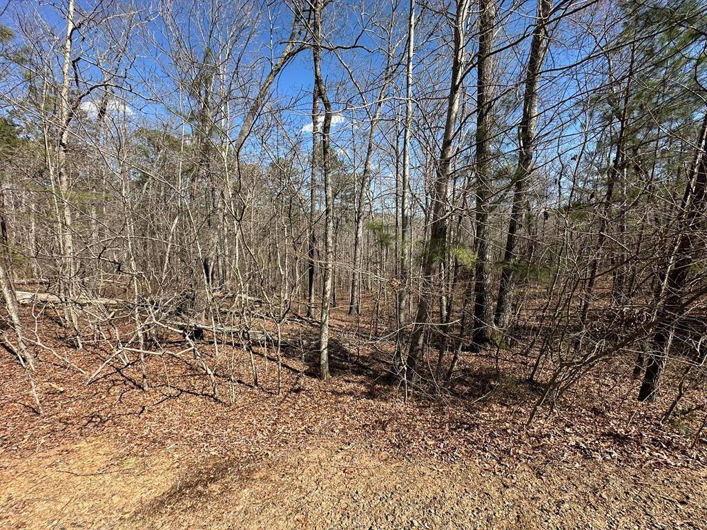 Ellijay, GA 30540,Lot 33 Harris Creek Drive