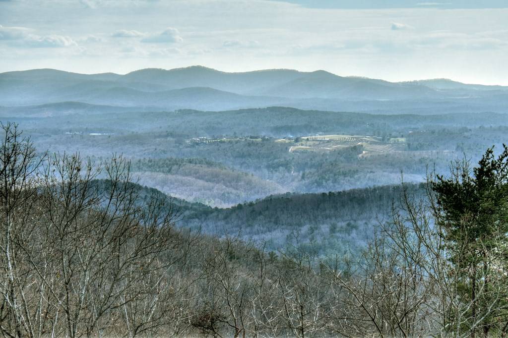 Ellijay, GA 30536,368 Walnut Ridge