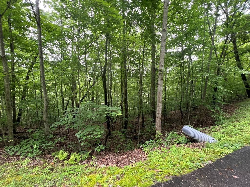 Hayesville, NC 28904,0 Ash Branch Circle