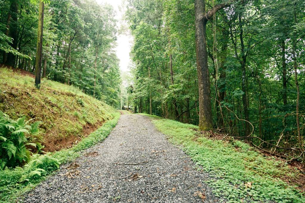 Ellijay, GA 30540,61 Morningside Court