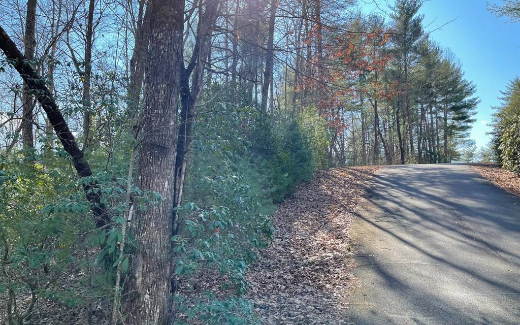 Hayesville, NC 28904,Lot 42 Granite Dr/Fires Crk