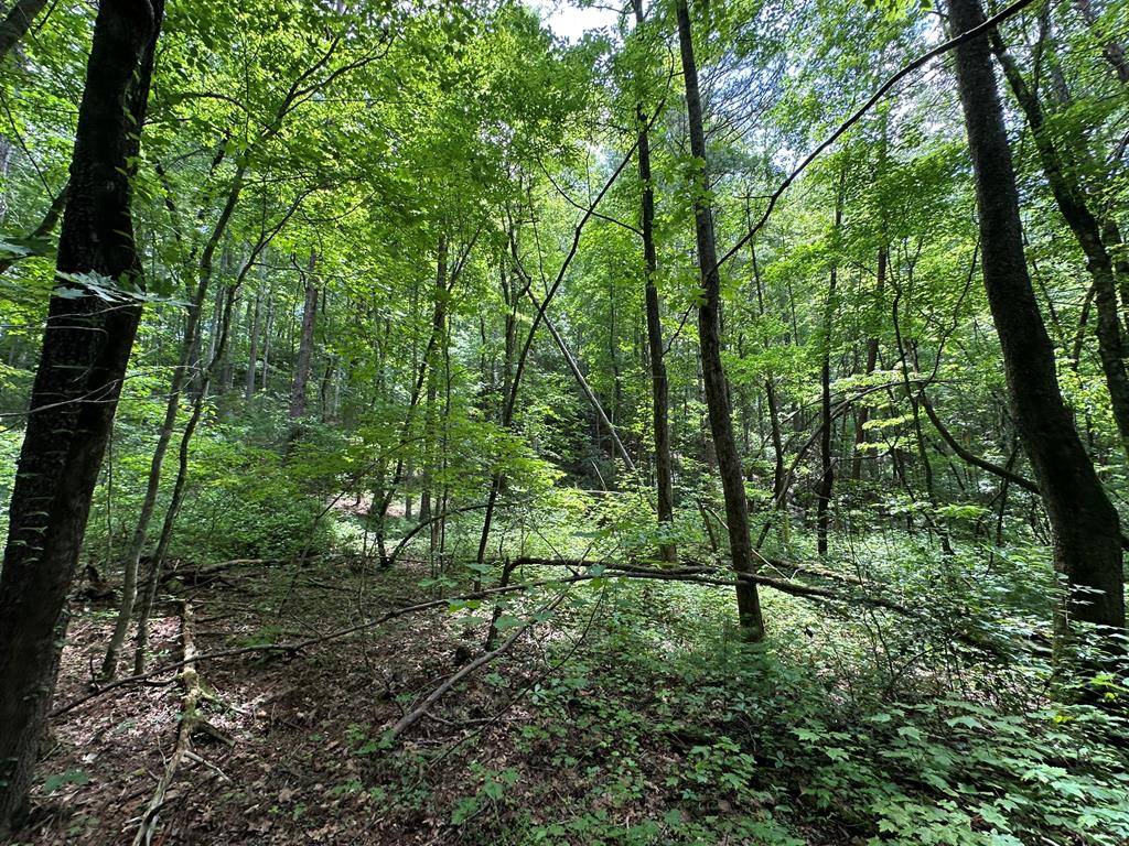 Dahlonega, GA 30533,0 Camp Wahsega Rd.