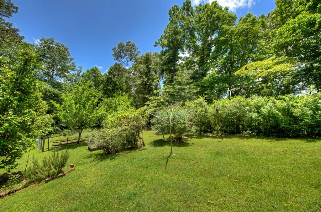 Ellijay, GA 30536,423 Chinquapin Road