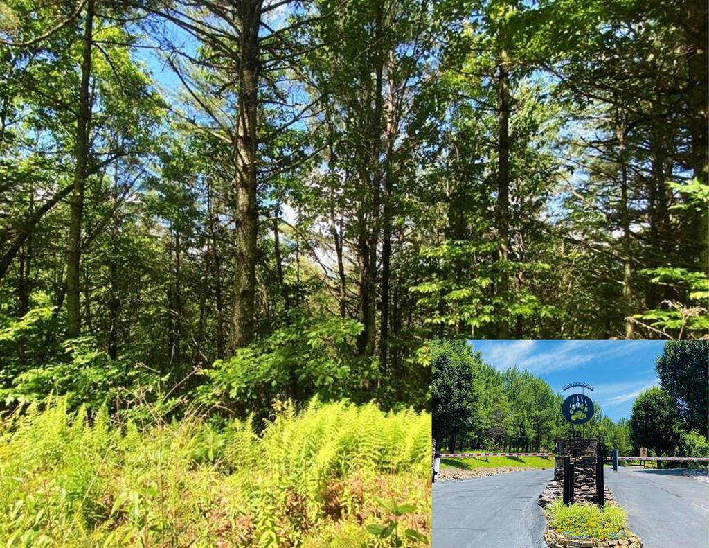 Murphy, NC 28906,Lot 97 Choctaw Ridge Trail