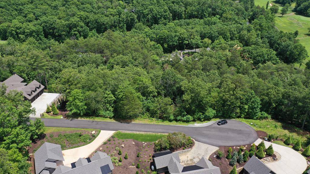 Mineral Bluff, GA 30559,Lot 112 Fawn Way