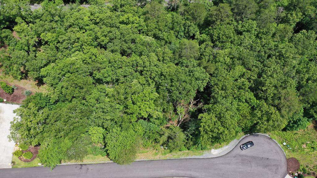 Mineral Bluff, GA 30559,Lot 112 Fawn Way