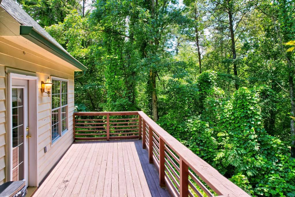 Ellijay, GA 30540,279 Gartrell Street