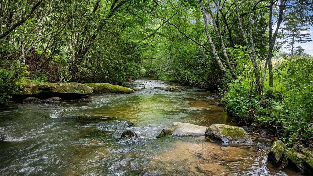 Mineral Bluff, GA 30559,138 Wolf Creek Estates
