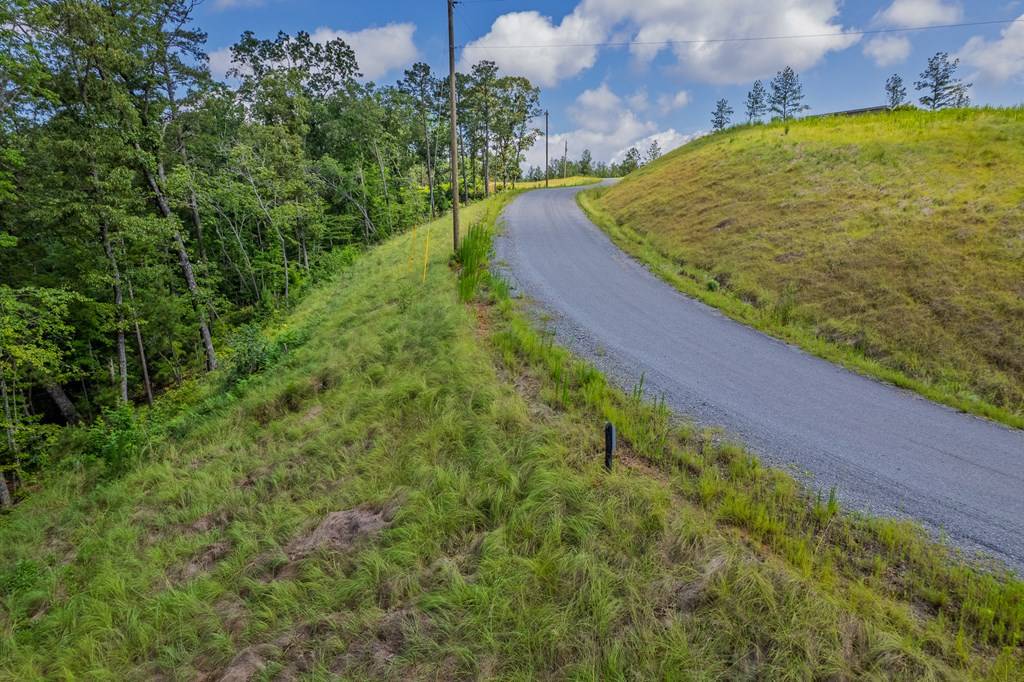 Talking Rock, GA 30175,Lot 246 Spear Point Dr