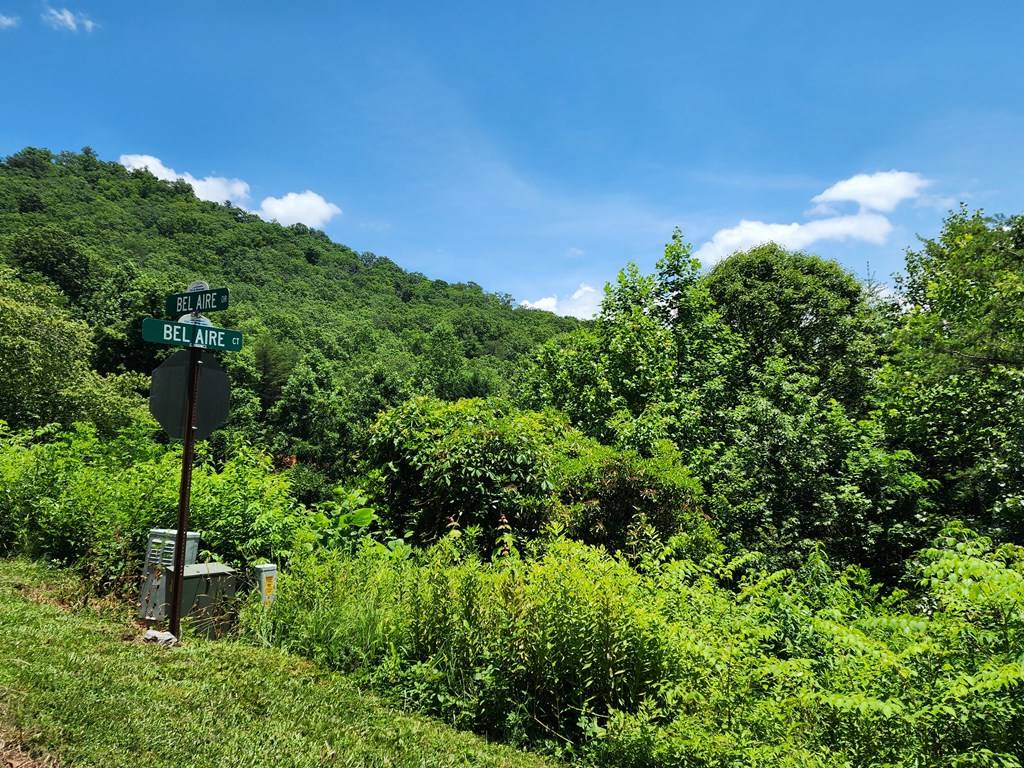 Hiawassee, GA 30546,lot19 Bel-Aire Estates