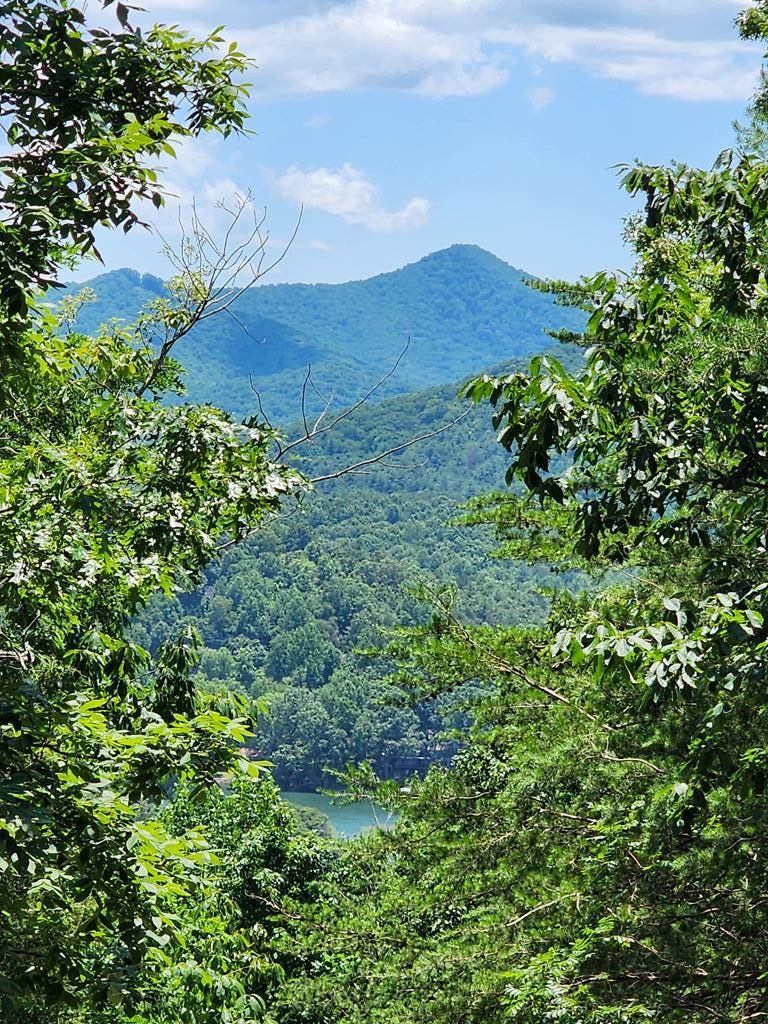 Hiawassee, GA 30546,lot19 Bel-Aire Estates