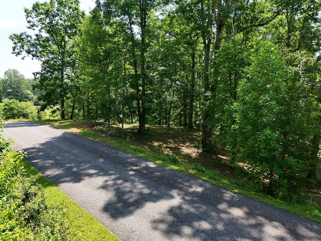 Young Harris, GA 30582,Lot 30 Meadow Brooke