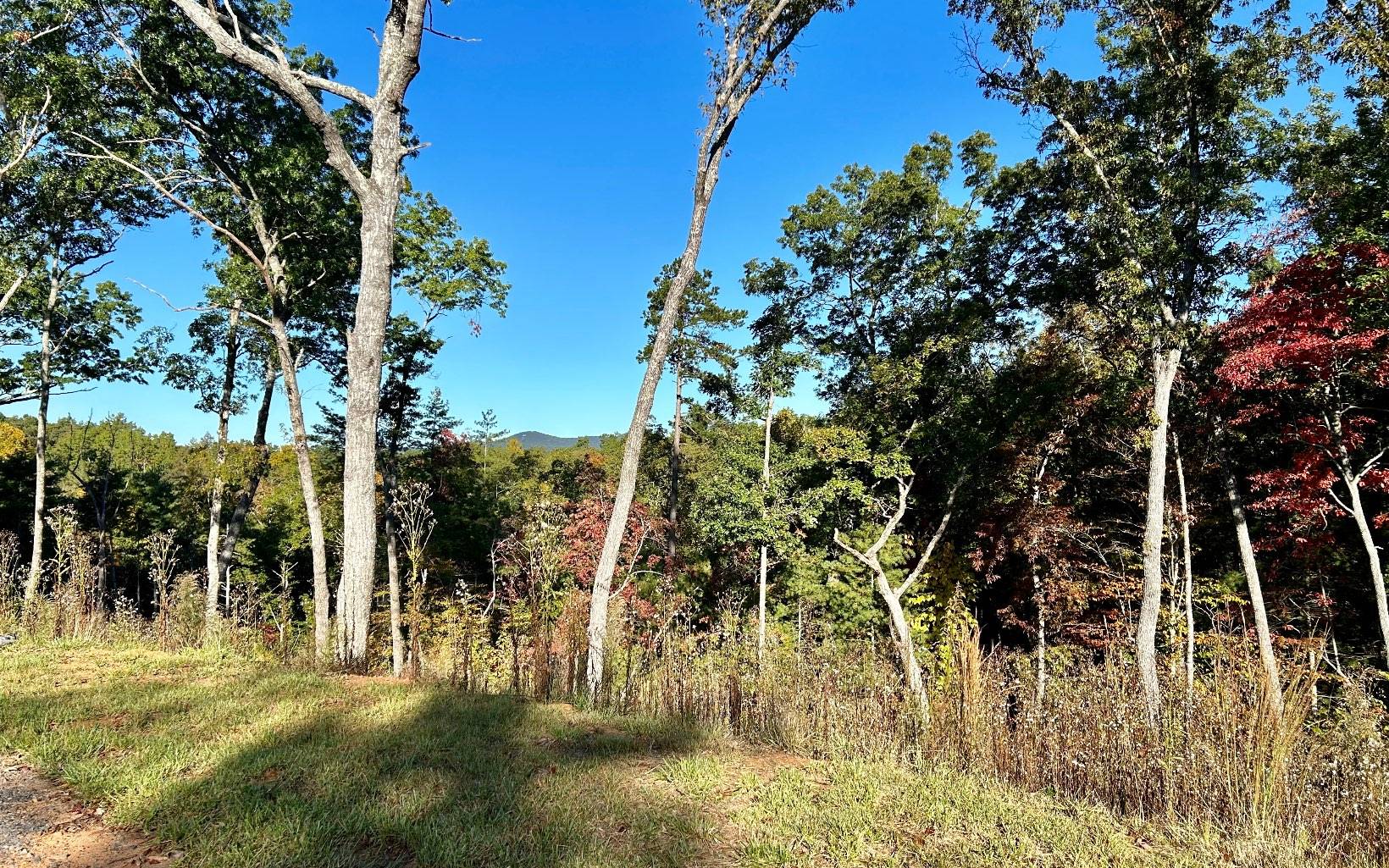Ellijay, GA 30540,Lot 305 Greenwood Court