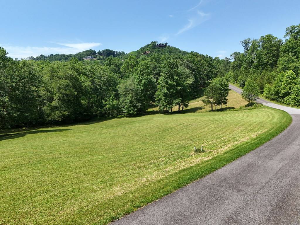 Young Harris, GA 30582,Lot #31 Meadow Brooke
