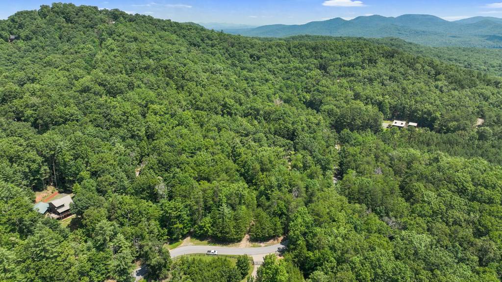 Cherry Log, GA 30522,Lot 1 High Knee Road