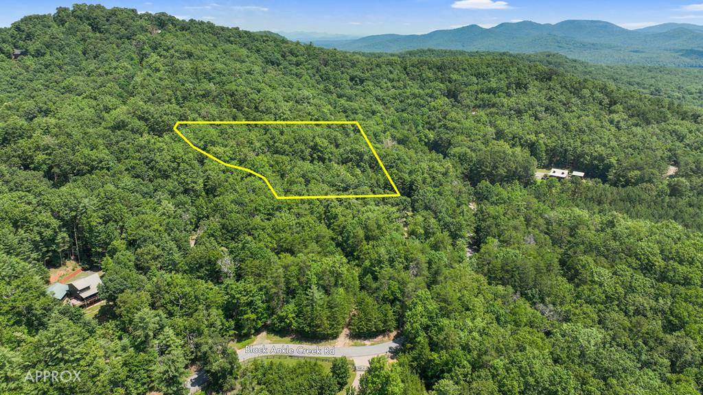 Cherry Log, GA 30522,Lot 1 High Knee Road