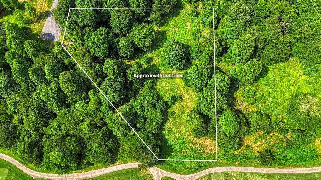 Blairsville, GA 30512,Lot 208 Owen Glen