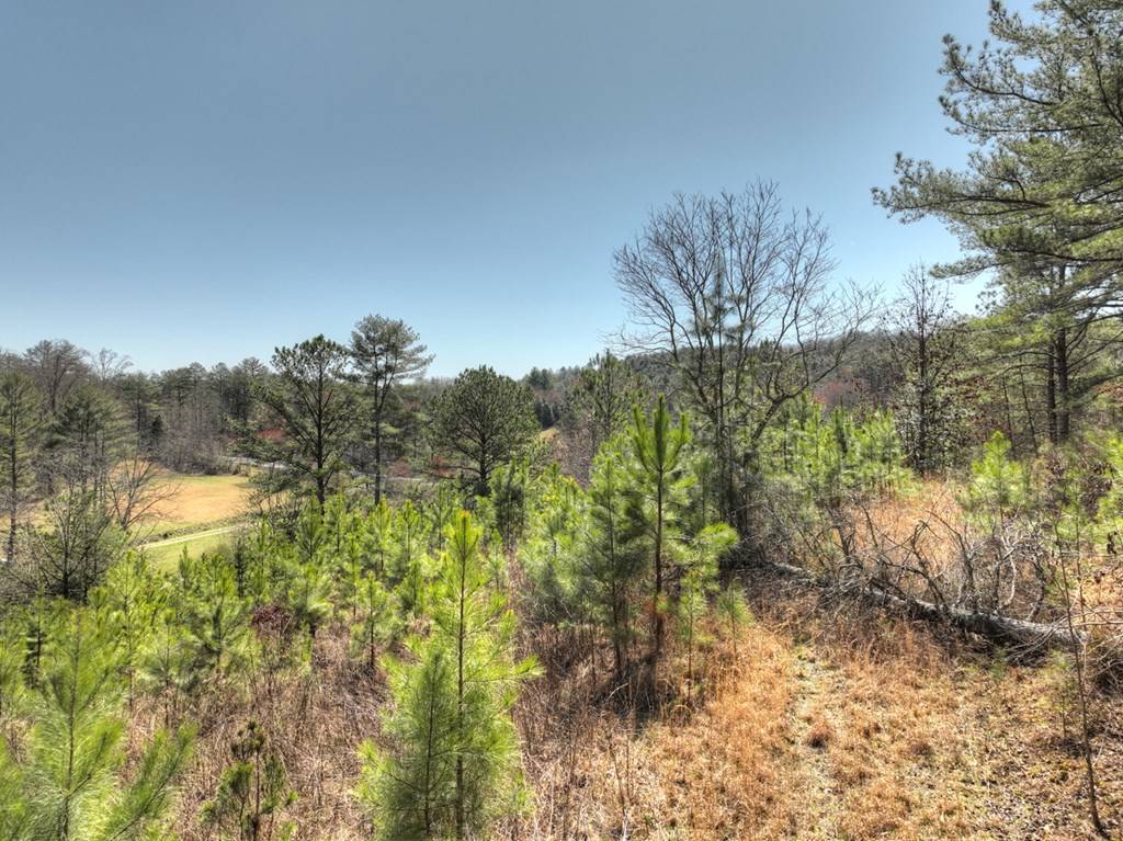Mineral Bluff, GA 30059,Lots 2&4 Walnut Hills /Spur 6