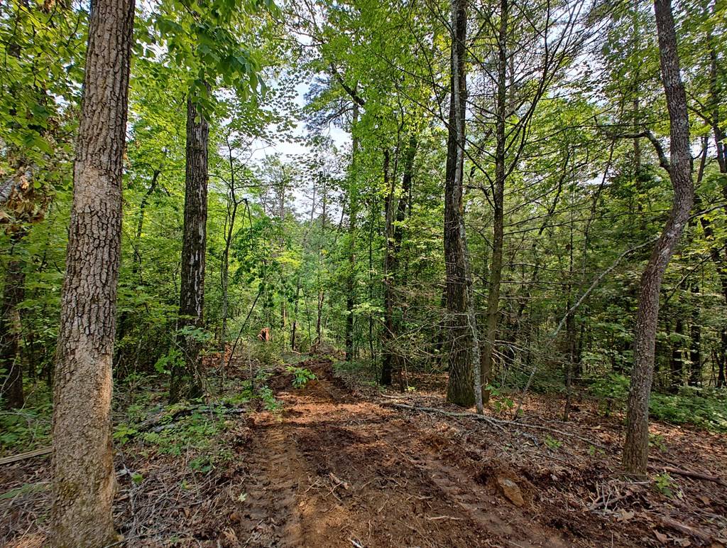 Turtletown, TN 37391,Lot 5 Megan Trace Drive