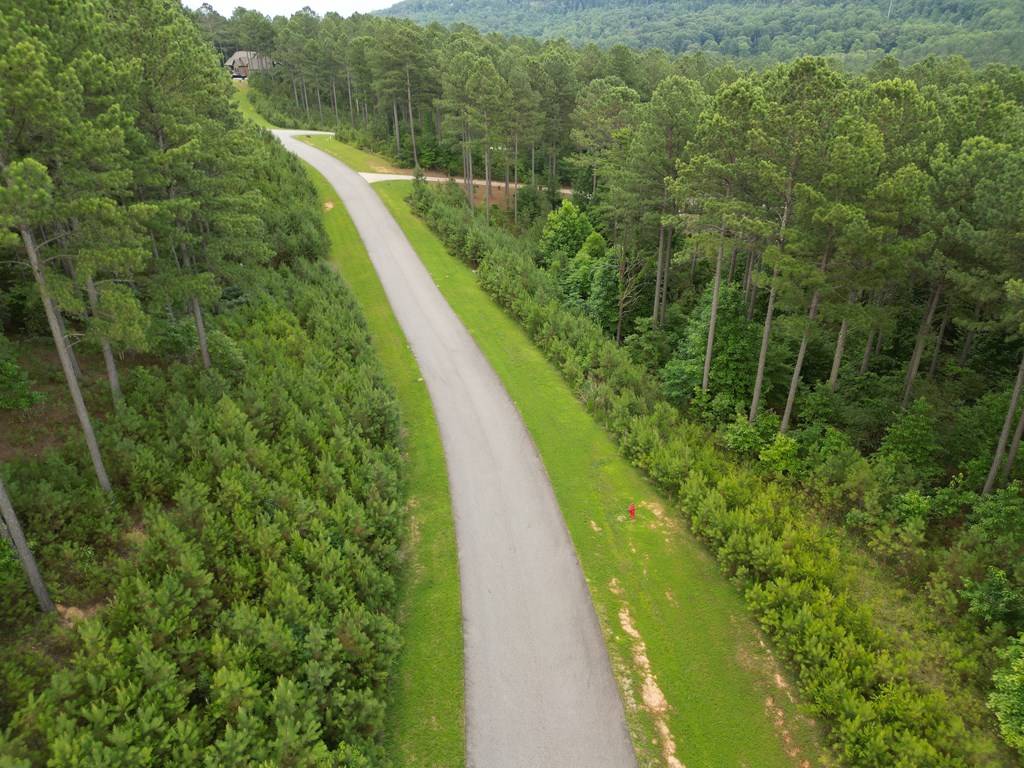 Blairsville, GA 30512,Lot 148 Stables Loop