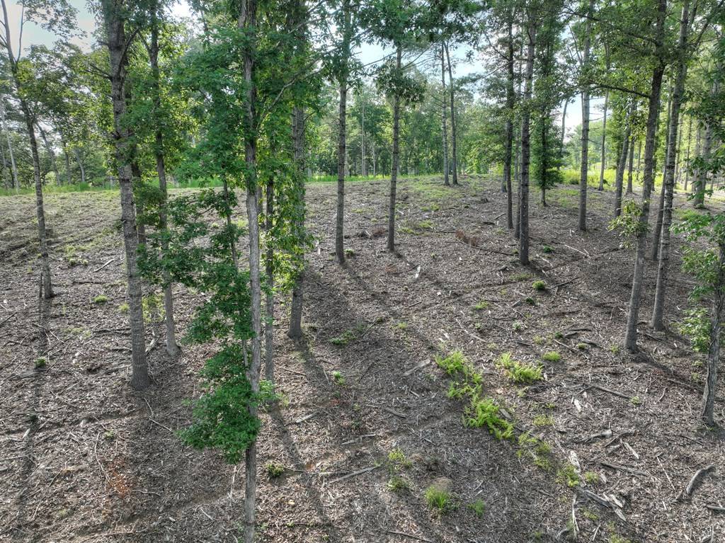 Morganton, GA 30560,190 Split Creek Road