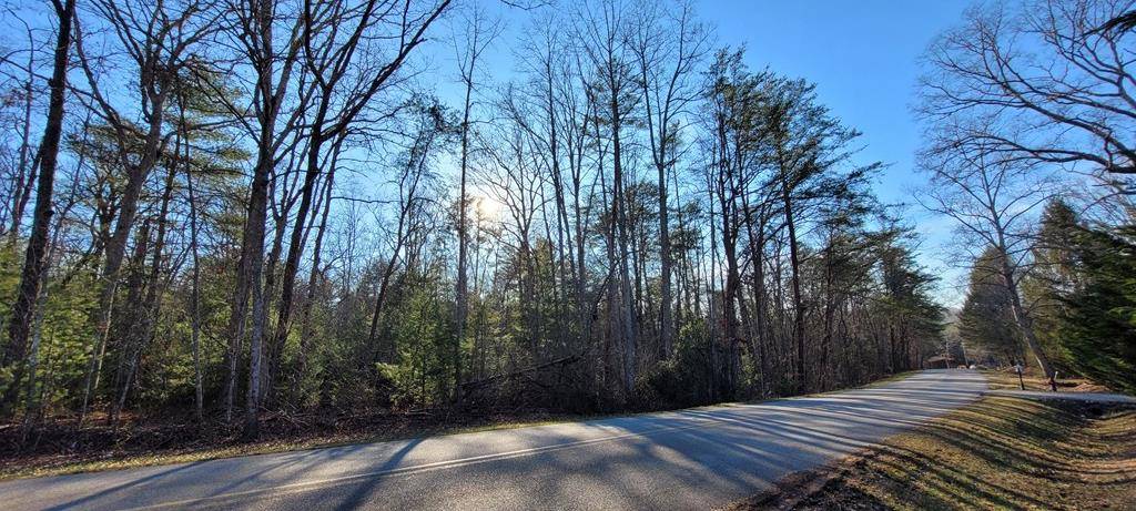 Morganton, GA 30560,Lot 250 Forge Mill Road