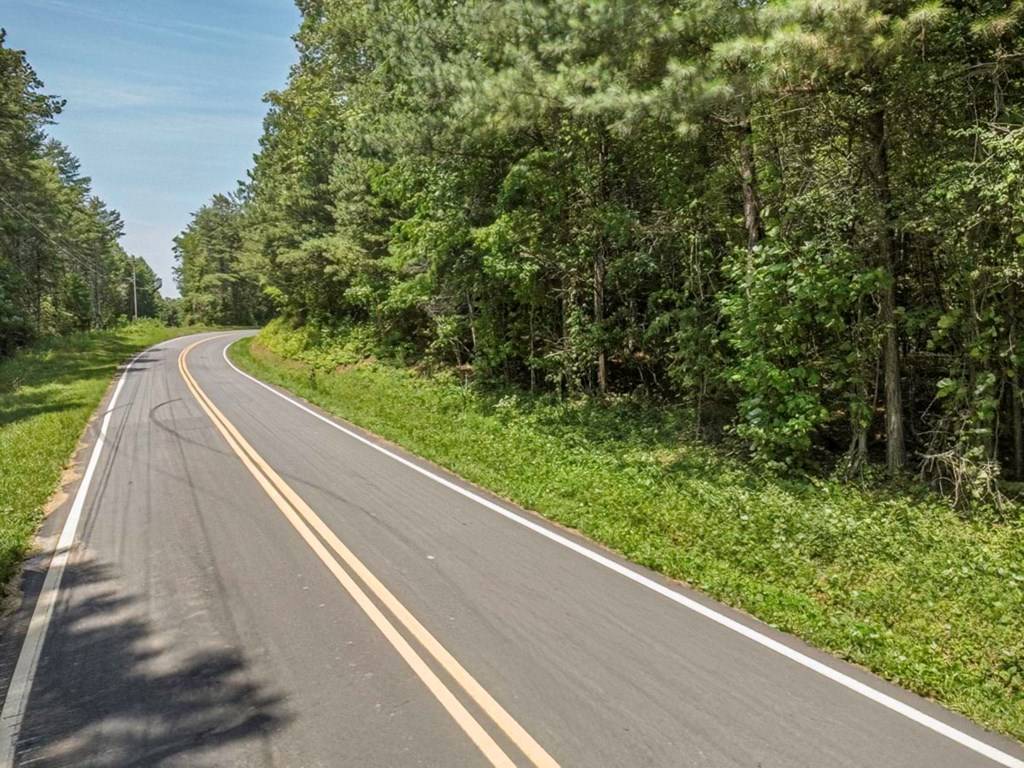 Mineral Bluff, GA 30559,56.6 Ac Cutcane Road