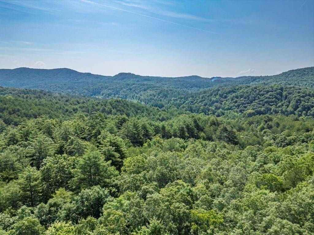 Mineral Bluff, GA 30559,56.6 Ac Cutcane Road