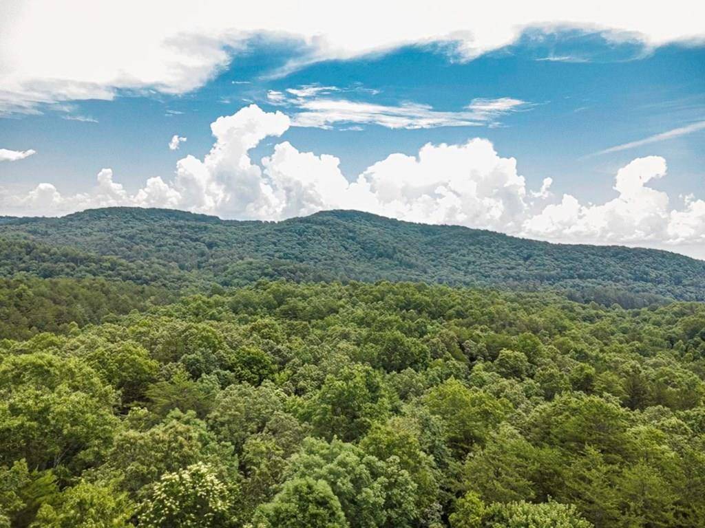 Mineral Bluff, GA 30559,56.6 Ac Cutcane Road