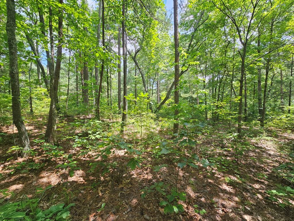 Ellijay, GA 30540,0 Harris Ridge Drive