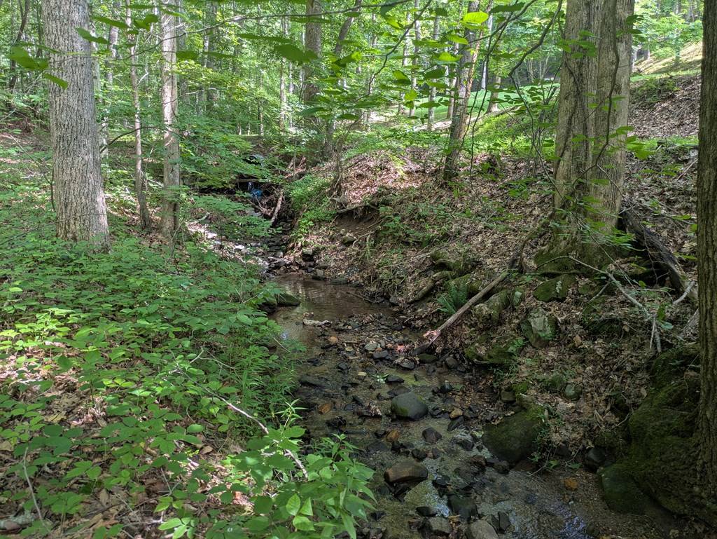 Blairsville, GA 30512,1249 Trackrock Gap Road