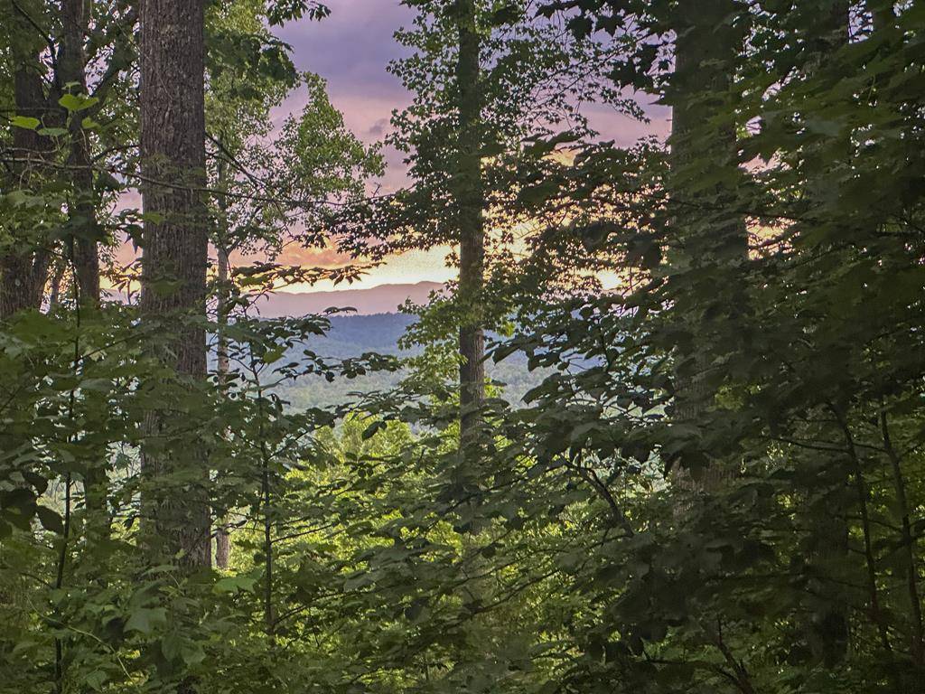 Blairsville, AL 35012,Lt 23 Scouts Ridge Road