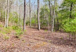 Blairsville, GA 30512,6.88 ac Fisher Field Road