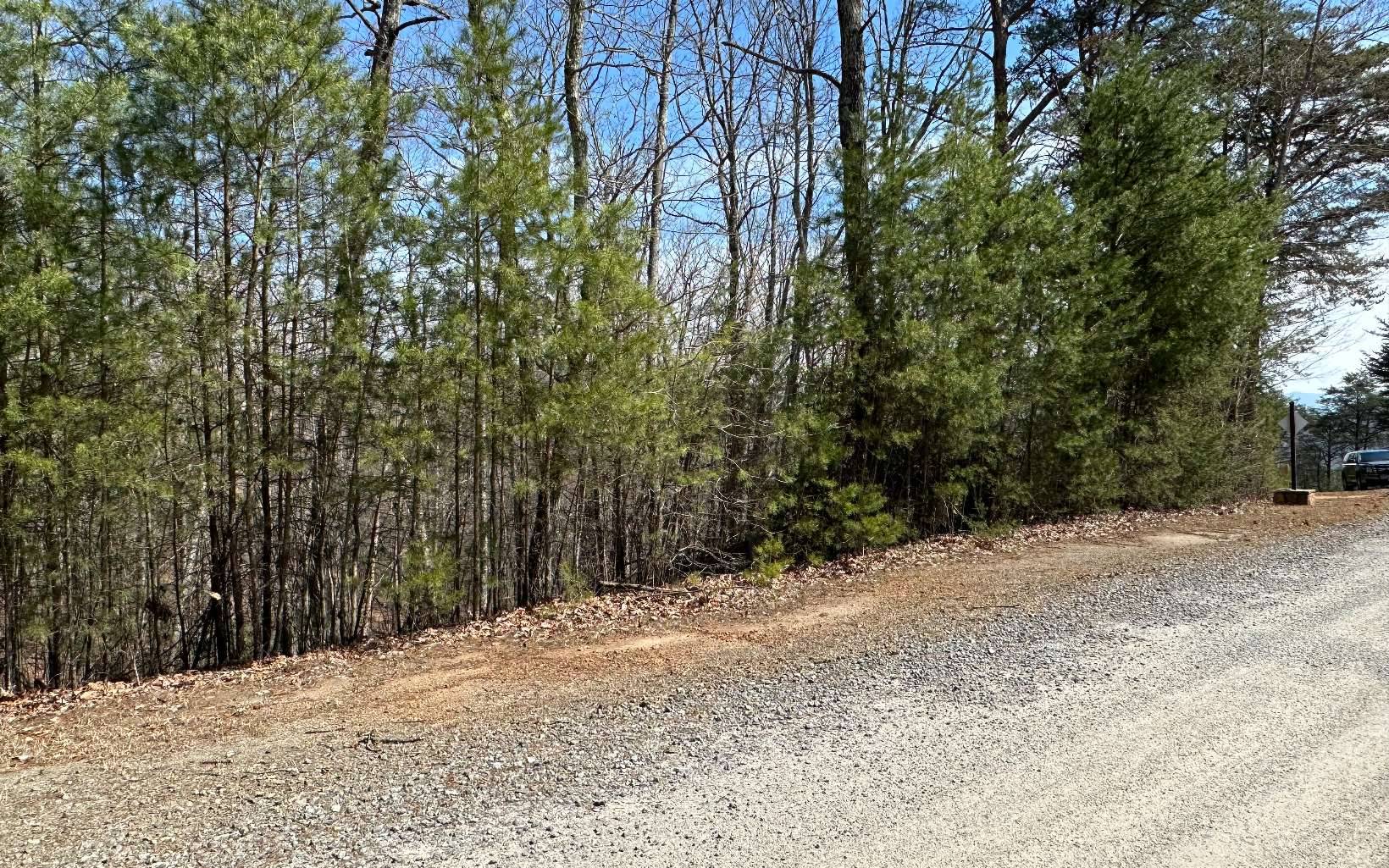 Murphy, NC 28906,LT29 Wilderness Creek Way