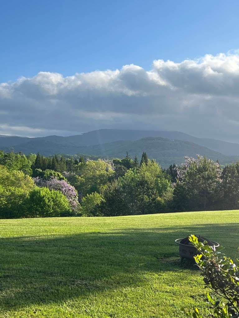 Ellijay, GA 30536,85 Ridgemont Lane