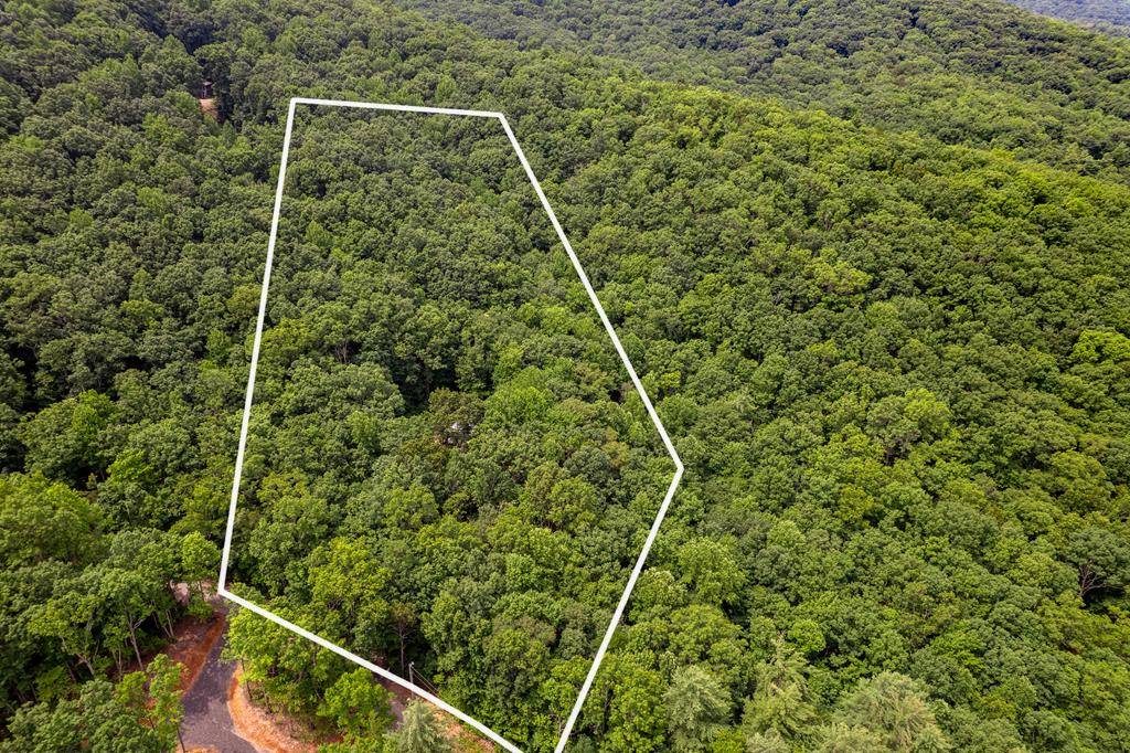 Blairsville, GA 30512,652 Stennes Gap Road