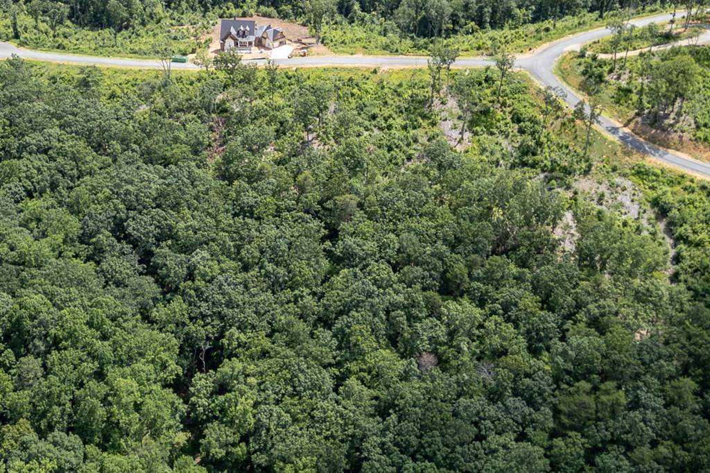 Talking Rock, GA 30175,Lot 171 Shagbark Court