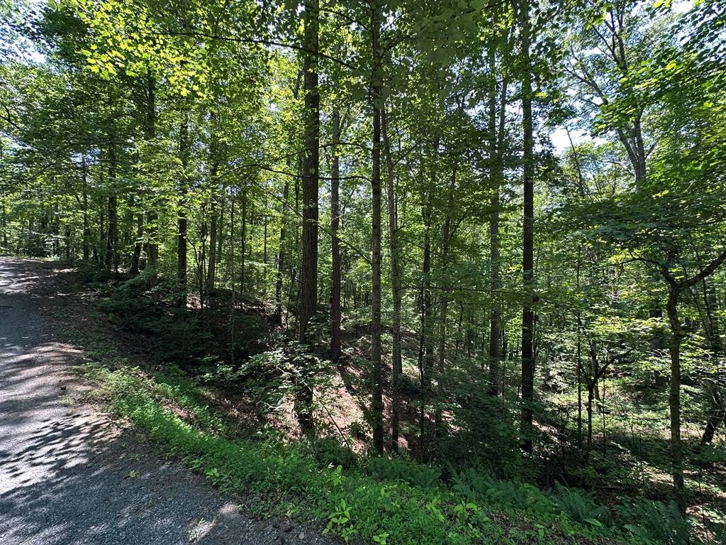 Ellijay, GA 30175,Lot 1884 Finale Street