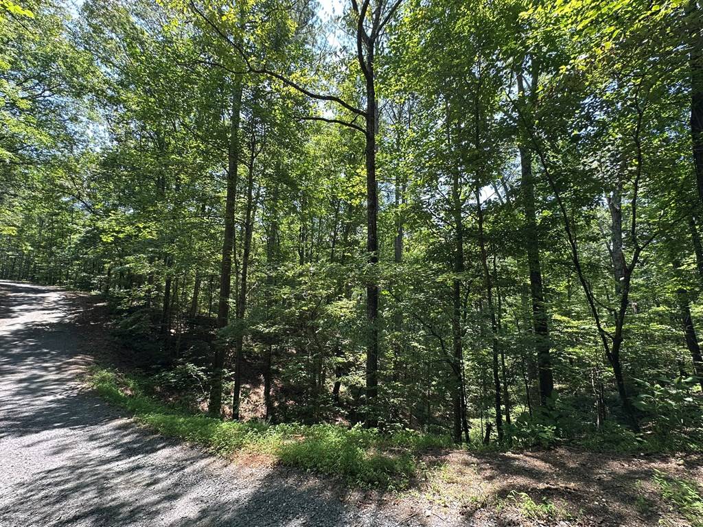 Ellijay, GA 30175,Lot 1884 Finale Street