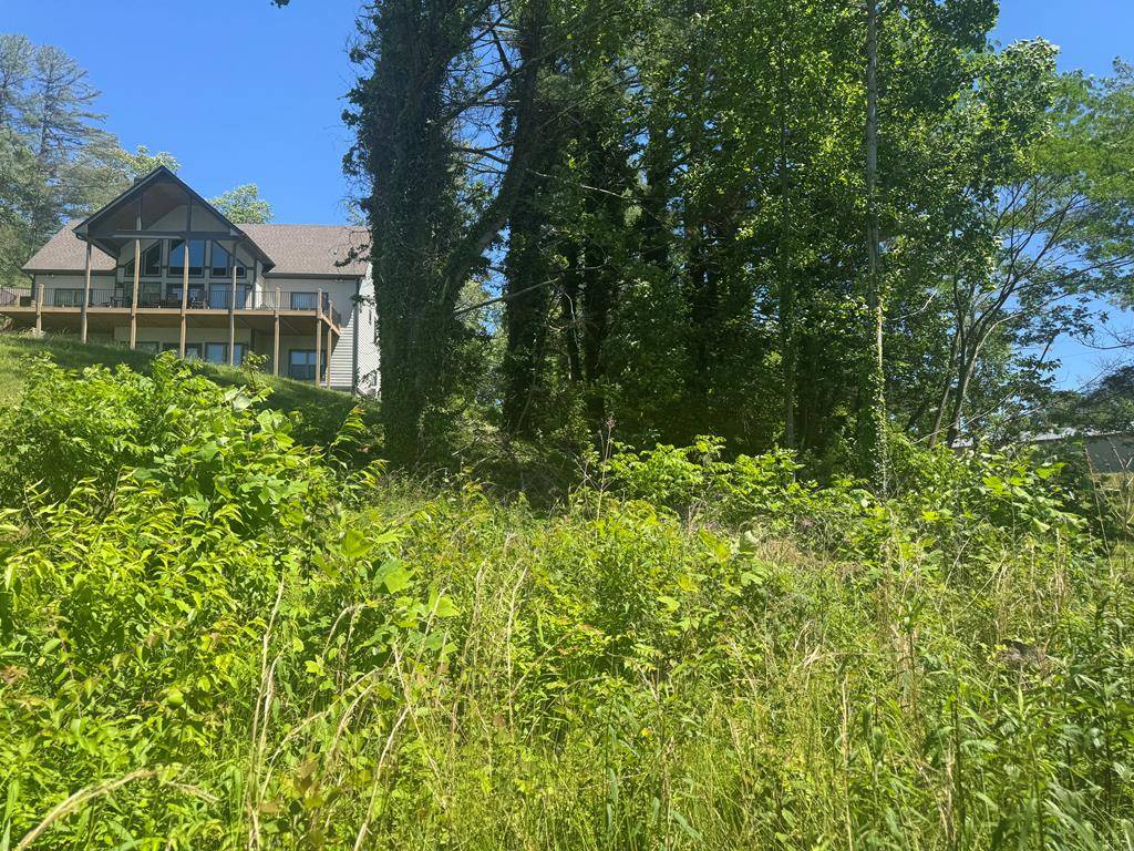 Hiawassee, GA 30546,Lot 3A/B Tranquil Pointe Lane