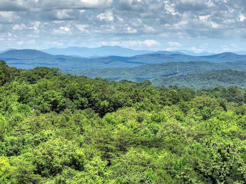 Blue Ridge, GA 30513,467 Deer Crest Road