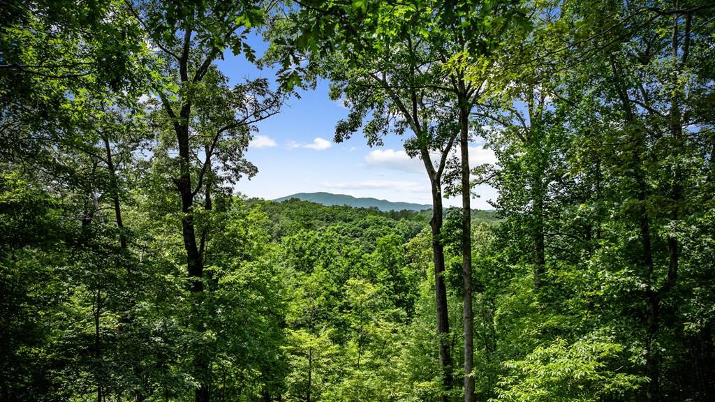 Blue Ridge, GA 30513,364 Bice Lane